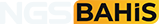 Ngsbahis Logo